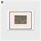 アートポストカード-Naked Man Ascending
 - エドワード マイブリッジ Postcard.