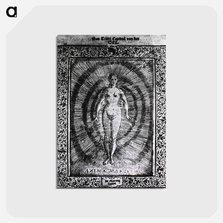 アートポストカード-Anima Mercurii
 - 国立医学図書館 Postcard.