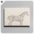 アートパネル-Horse Standing, Side View Facing Right
 - イェール大学アートギャラリー Canvas.
