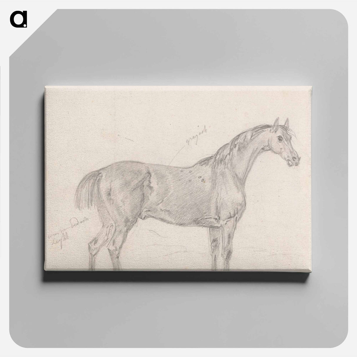 アートパネル-Horse Standing, Side View Facing Right
 - イェール大学アートギャラリー Canvas.
