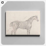 アートパネル-Horse Standing, Side View Facing Right
 - イェール大学アートギャラリー Canvas.