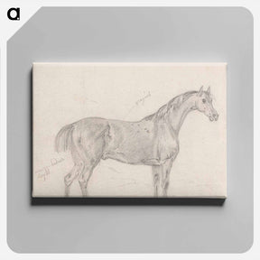 アートパネル-Horse Standing, Side View Facing Right
 - イェール大学アートギャラリー Canvas.