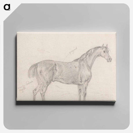 アートパネル-Horse Standing, Side View Facing Right
 - イェール大学アートギャラリー Canvas.