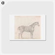 アートポストカード-Horse Standing, Side View Facing Right
 - イェール大学アートギャラリー Postcard.