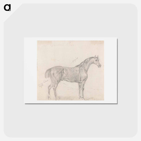 アートポストカード-Horse Standing, Side View Facing Right
 - イェール大学アートギャラリー Postcard.