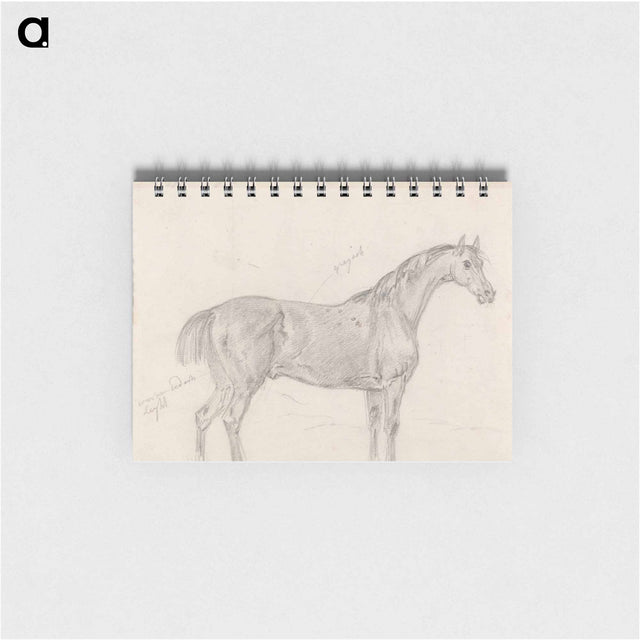 アートメモ帳-Horse Standing, Side View Facing Right
 - イェール大学アートギャラリー Memo.