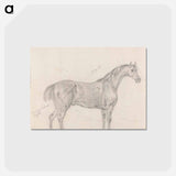アートポストカード-Horse Standing, Side View Facing Right
 - イェール大学アートギャラリー Postcard.