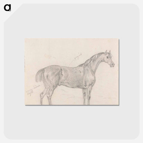 アートポストカード-Horse Standing, Side View Facing Right
 - イェール大学アートギャラリー Postcard.