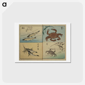 アートポストカード-Picture Book for the Practice of Drawing Fish
 - 歌川 広重 Postcard.
