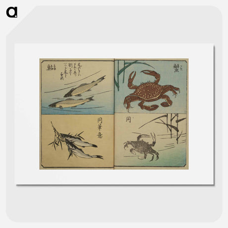 アートポスター-Picture Book for the Practice of Drawing Fish
 - 歌川 広重 Poster.