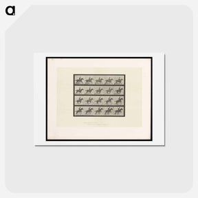 アートポストカード-The Horse in Motion
 - エドワード マイブリッジ Postcard.