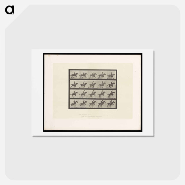 アートポストカード-The Horse in Motion
 - エドワード マイブリッジ Postcard.