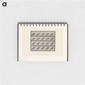 アートメモ帳-The Horse in Motion
 - エドワード マイブリッジ Memo.