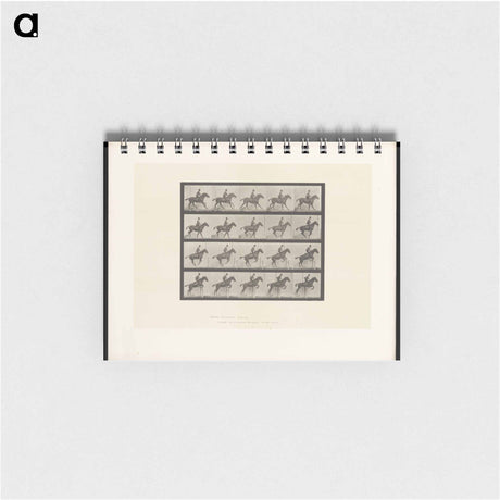 アートメモ帳-The Horse in Motion
 - エドワード マイブリッジ Memo.