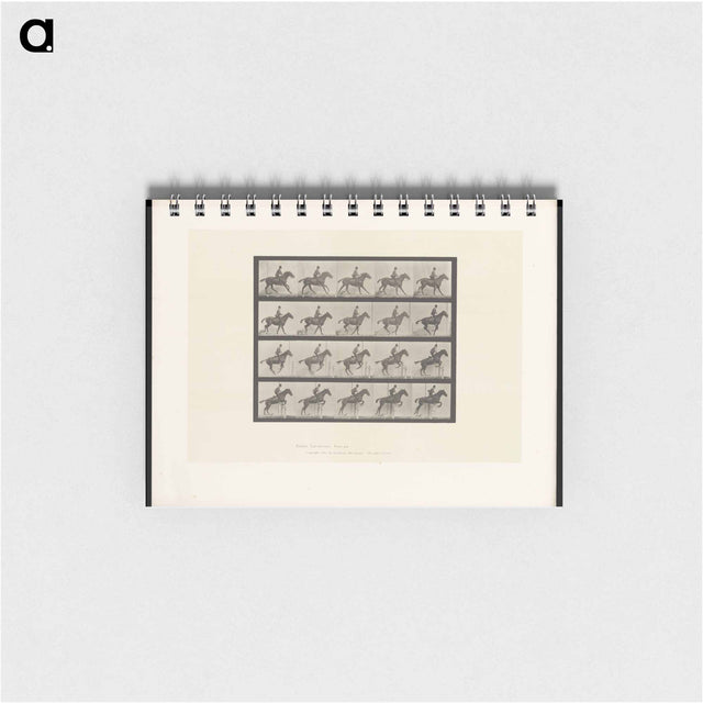アートメモ帳-The Horse in Motion
 - エドワード マイブリッジ Memo.