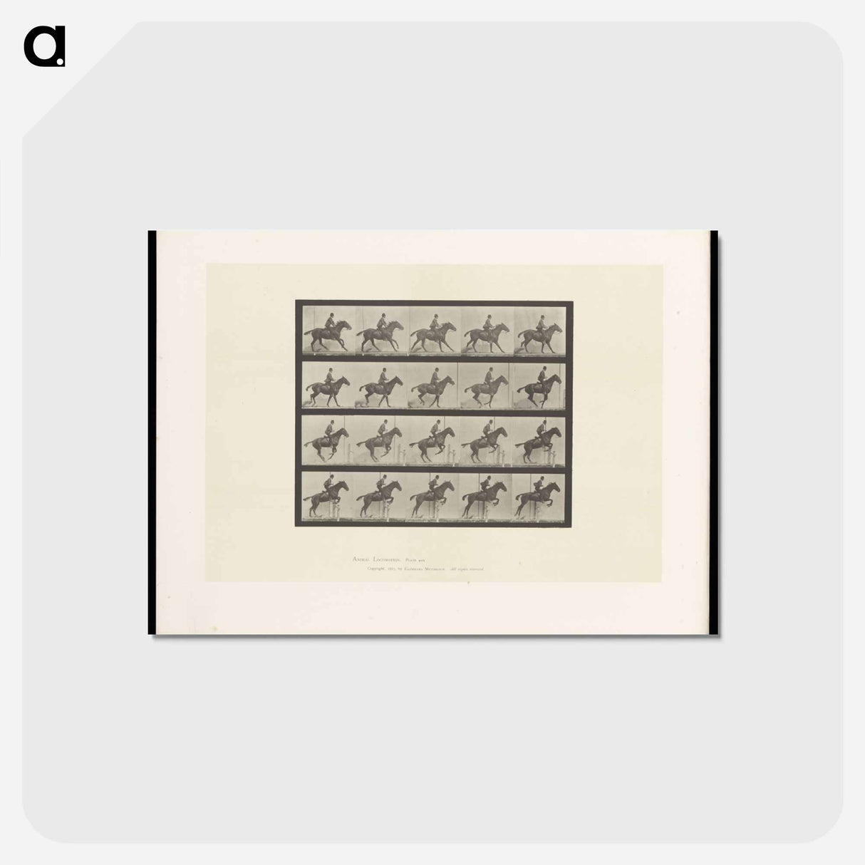 アートポストカード-The Horse in Motion
 - エドワード マイブリッジ Postcard.