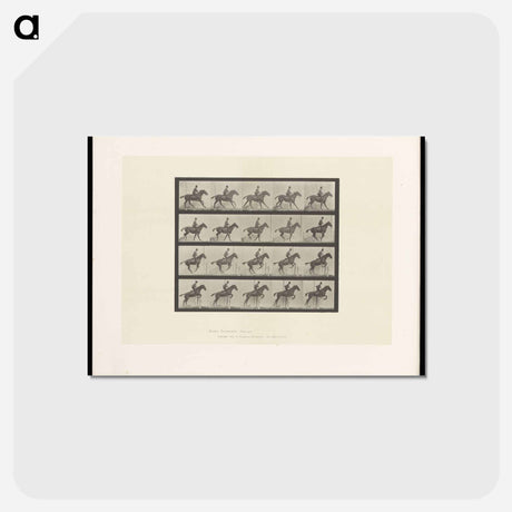 アートポストカード-The Horse in Motion
 - エドワード マイブリッジ Postcard.