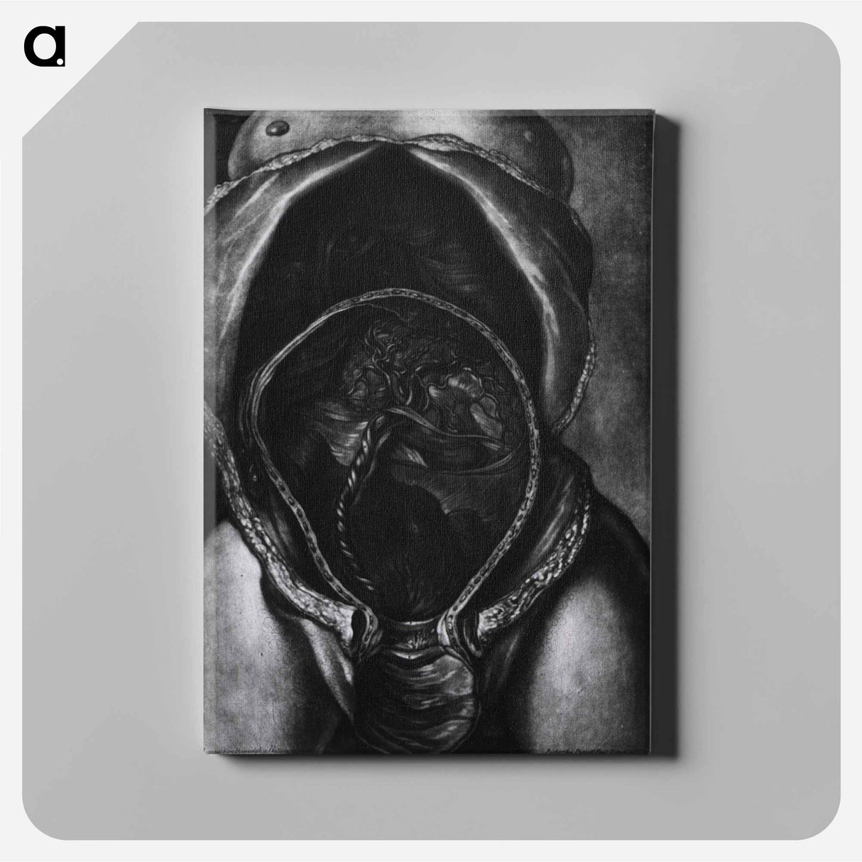 アートパネル-Uterus After Birth with Placenta Attached
 - 国立医学図書館 Canvas.