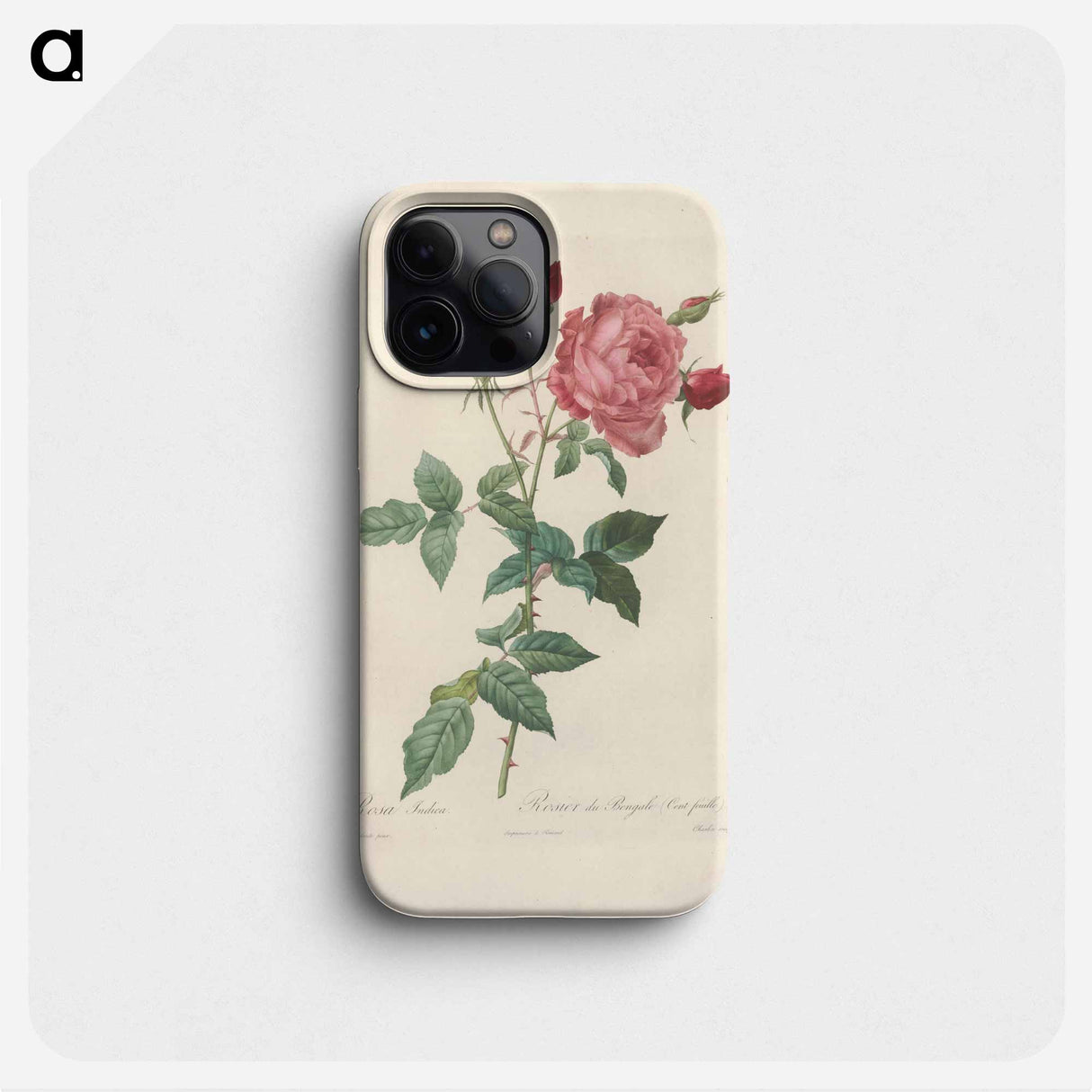 Rose illustration - Pierre Joseph Redouté Phone Case.