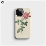 Rose illustration - Pierre Joseph Redouté Phone Case.