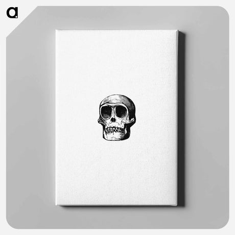 アートパネル-Skull from Voyages and Adventures in Equatorial Africa
 - 大英図書館 Canvas.