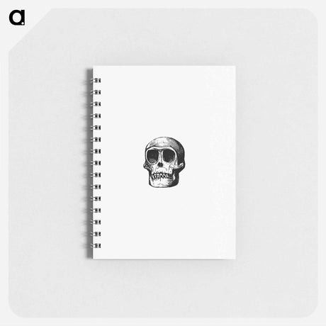 アートメモ帳-Skull from Voyages and Adventures in Equatorial Africa
 - 大英図書館 Memo.