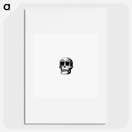 アートポスター-Skull from Voyages and Adventures in Equatorial Africa
 - 大英図書館 Poster.