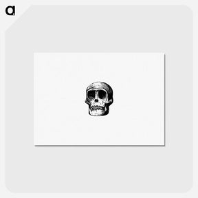 アートポストカード-Skull from Voyages and Adventures in Equatorial Africa
 - 大英図書館 Postcard.