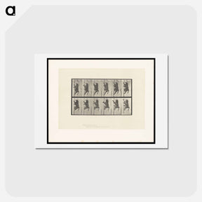 アートポストカード-Climbing Monkey
 - エドワード マイブリッジ Postcard.