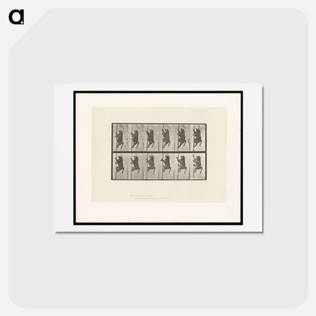 アートポストカード-Climbing Monkey
 - エドワード マイブリッジ Postcard.