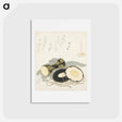 アートポストカード-A comparison of Genroku poems and shells - 葛飾 北斎 Postcard.