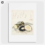 アートポスター-A comparison of Genroku poems and shells - 葛飾 北斎 Poster.