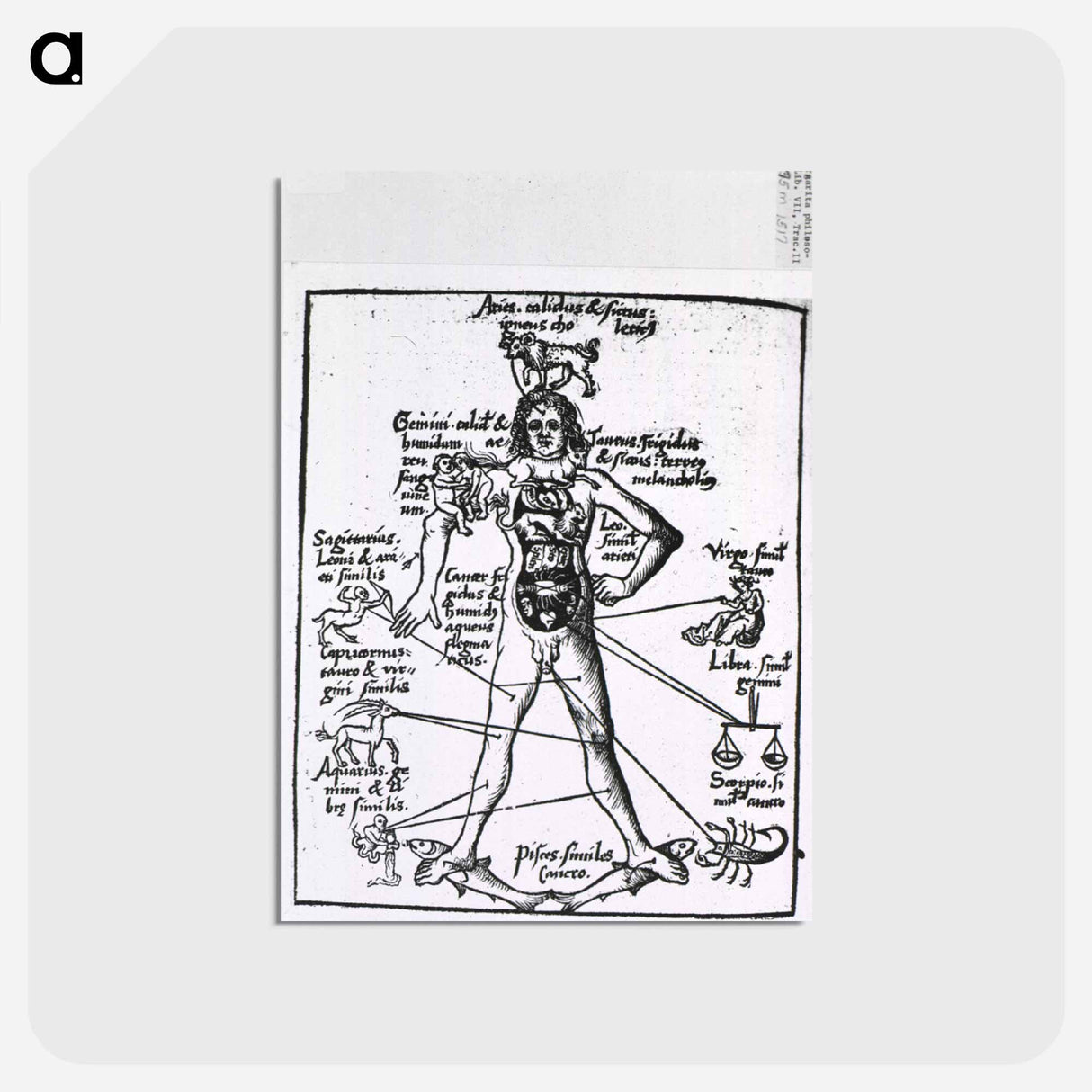 アートポストカード-Zodiac Man
 - 国立医学図書館 Postcard.
