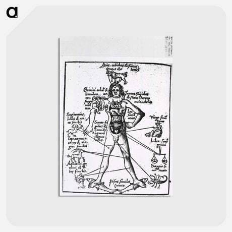 アートポストカード-Zodiac Man
 - 国立医学図書館 Postcard.