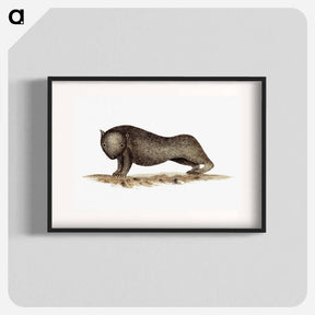 アートポスター-Wombat from An Account of the English Colony in New South Wales
 - 大英図書館 Poster.