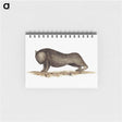 アートメモ帳-Wombat from An Account of the English Colony in New South Wales
 - 大英図書館 Memo.