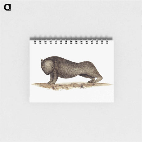 アートメモ帳-Wombat from An Account of the English Colony in New South Wales
 - 大英図書館 Memo.
