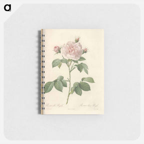 アートメモ帳-Rose illustration - ピエール ジョゼフ ルドゥーテ Memo.