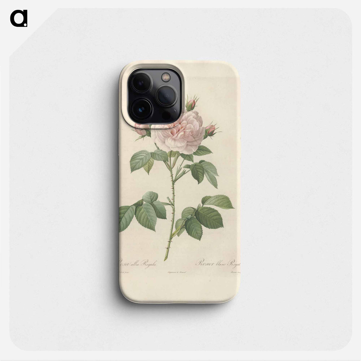 Rose illustration - Pierre Joseph Redouté Phone Case.