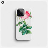 Cabbage rose - Pierre Joseph Redouté Phone Case.