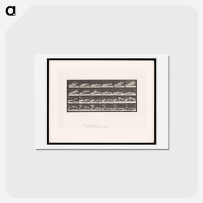 アートポストカード-Passing the Pencil
 - エドワード マイブリッジ Postcard.