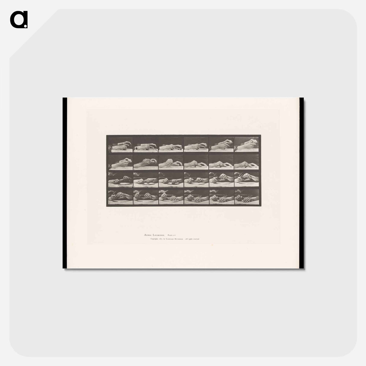 アートポストカード-Passing the Pencil
 - エドワード マイブリッジ Postcard.
