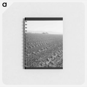 アートメモ帳-Untitled photo - ドロテア ラング Memo.