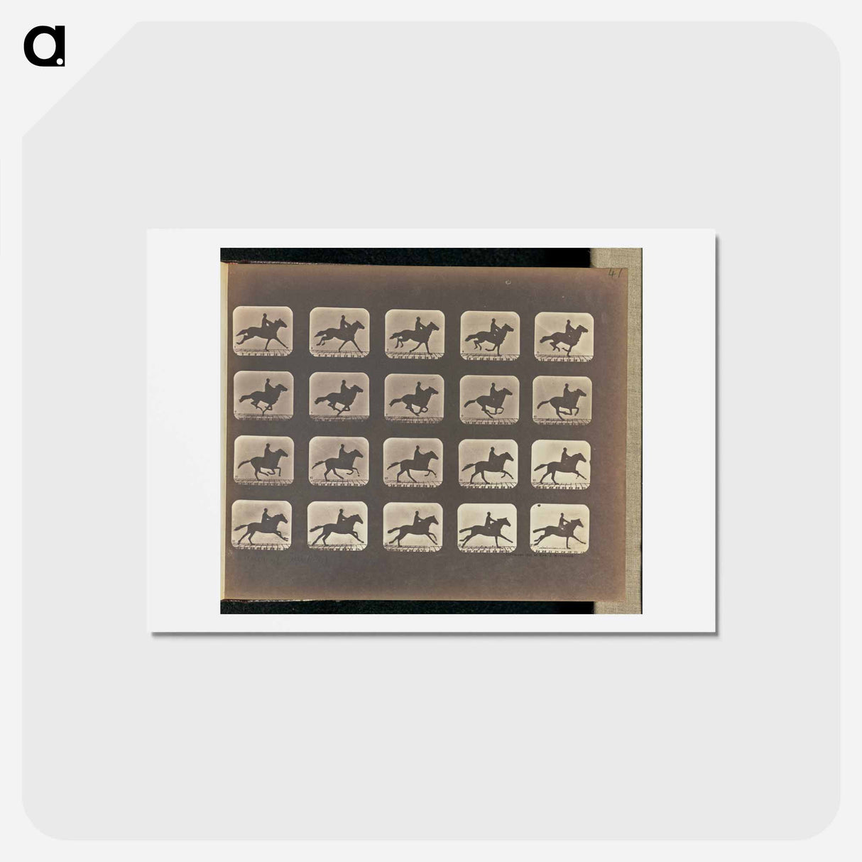 アートポストカード-Running (Galloping)
 - エドワード マイブリッジ Postcard.