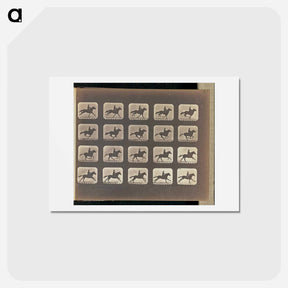 アートポストカード-Running (Galloping)
 - エドワード マイブリッジ Postcard.