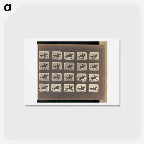 アートポストカード-Running (Galloping)
 - エドワード マイブリッジ Postcard.