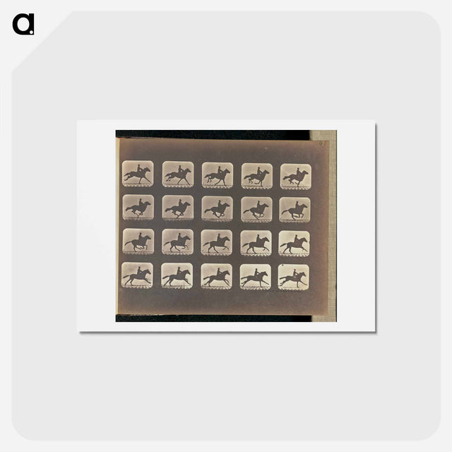 アートポストカード-Running (Galloping)
 - エドワード マイブリッジ Postcard.