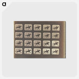 アートポストカード-Running (Galloping)
 - エドワード マイブリッジ Postcard.
