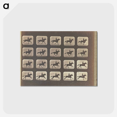 アートポストカード-Running (Galloping)
 - エドワード マイブリッジ Postcard.