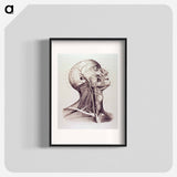 アートポスター-Muscles and Arteries of the Neck and Head
 - 国立医学図書館 Poster.